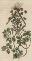 Picture 8 of 16 from Arabesques mythologiques, ou, Les attributs de toutes les divinités de la fable : en 54 planches gravées d'après les dessins coloriés de Madame de Genlis ... : ouvrage fait pour servir à l'éducation de la jeunesse (1810), leaf 156
