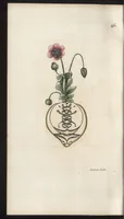 An illustration from Arabesques mythologiques, ou, Les attributs de toutes les divinités de la fable : en 54 planches gravées d'après les dessins coloriés de Madame de Genlis ... : ouvrage fait pour servir à l'éducation de la jeunesse (1810)