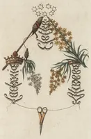 Picture 3 of 16 from Arabesques mythologiques, ou, Les attributs de toutes les divinités de la fable : en 54 planches gravées d'après les dessins coloriés de Madame de Genlis ... : ouvrage fait pour servir à l'éducation de la jeunesse (1810), leaf 68