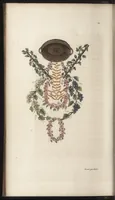 An illustration from Arabesques mythologiques, ou, Les attributs de toutes les divinités de la fable : en 54 planches gravées d'après les dessins coloriés de Madame de Genlis ... : ouvrage fait pour servir à l'éducation de la jeunesse (1810)