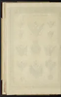Picture 2 of 10 from Recueil des divers caractères, vignettes et ornemens de la fonderie et imprimerie de J.G. Gillé (1808), leaf 107