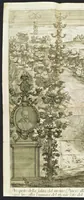 An illustration from Roma festeggiante nel Monte Pincio : negli applausi alle glorie della pietà del cristianissimo Lodovico il Grande, in occasione della da lui estirpata eresia, mediante l'editto di Fontanablò 1685, e della ricuperata sua salute celebrati dall' eminentissimo e reuerendissimo principe il signor cardinal d'Estrées .. (1687)