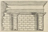 Picture 14 of 38 from L'architecture et art de bien bastir, diuisée en dix liures (1553), leaf 251