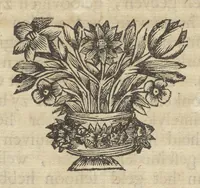 An illustration from Reizen van Cornelis de Bruyn, door de vermaardste deelen van Klein Asia, de eylanden Scio, Rhodus, Cyprus, Metelino, Stanchio, &c., mitsgaders de voornaamste steden van Aegypten, Syrien en Palestina : verrijkt met meer als 200 kopere konstplaaten, vertoonende de beroemdste landschappen, steden, &c. alles door den autheur selfs na het leven afgetekend (1698)