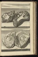 An illustration from Reizen van Cornelis de Bruyn, door de vermaardste deelen van Klein Asia, de eylanden Scio, Rhodus, Cyprus, Metelino, Stanchio, &c., mitsgaders de voornaamste steden van Aegypten, Syrien en Palestina : verrijkt met meer als 200 kopere konstplaaten, vertoonende de beroemdste landschappen, steden, &c. alles door den autheur selfs na het leven afgetekend (1698)