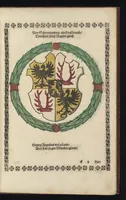 An illustration from Ordenliche Beschreybung der fürstlichen Hochzeyt, die da gehalten ist worden, durch den durchleüchtigen, hochgebornen Fürsten vnnd Herrn, Herrn Wilhelm Pfaltzgraf beim Rheyn, Hertzog inn Obern vnd Nidern Bayern [et]c. mit dem hochgebornen Fräwlin Renatta, geborne Hertzogin auss Luttringe[n] : den 21. Tag Februarij, des 1568. Jars, in der fürstlichen Statt München, vnd an die kaiserliche Maiestet geschriben, vnd ... in teütsche Carmina gestellt (1568)