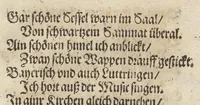 An illustration from Ordenliche Beschreybung der fürstlichen Hochzeyt, die da gehalten ist worden, durch den durchleüchtigen, hochgebornen Fürsten vnnd Herrn, Herrn Wilhelm Pfaltzgraf beim Rheyn, Hertzog inn Obern vnd Nidern Bayern [et]c. mit dem hochgebornen Fräwlin Renatta, geborne Hertzogin auss Luttringe[n] : den 21. Tag Februarij, des 1568. Jars, in der fürstlichen Statt München, vnd an die kaiserliche Maiestet geschriben, vnd ... in teütsche Carmina gestellt (1568)