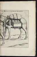 Picture 26 of 27 from Machinae novae Favsti Verantii siceni (1595), leaf 252