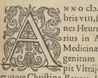 An illustration from Illustrium Hollandiae & VVestfrisiae ordinum alma Academia Leidensis (1614)