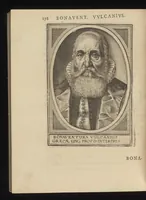 Picture 24 of 28 from Illustrium Hollandiae & VVestfrisiae ordinum alma Academia Leidensis (1614), leaf 249