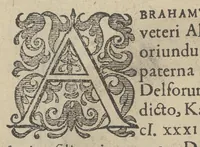 An illustration from Illustrium Hollandiae & VVestfrisiae ordinum alma Academia Leidensis (1614)