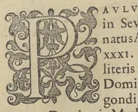 An illustration from Illustrium Hollandiae & VVestfrisiae ordinum alma Academia Leidensis (1614)