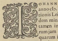 An illustration from Illustrium Hollandiae & VVestfrisiae ordinum alma Academia Leidensis (1614)