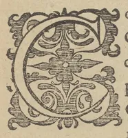 An illustration from Illustrium Hollandiae & VVestfrisiae ordinum alma Academia Leidensis (1614)