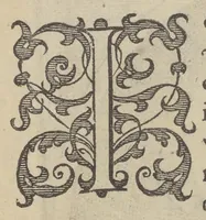 An illustration from Illustrium Hollandiae & VVestfrisiae ordinum alma Academia Leidensis (1614)