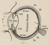 An illustration from Colour-matching on textiles : a manual intended for the use of dyers, calico printers, and textile colour chemists (1901)