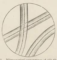 An illustration from Colour-matching on textiles : a manual intended for the use of dyers, calico printers, and textile colour chemists (1901)