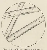 Picture 9 of 12 from Colour-matching on textiles : a manual intended for the use of dyers, calico printers, and textile colour chemists (1901), leaf 79