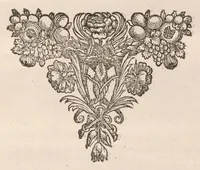 An illustration from De vera antiquorum herba Britannica : ejusdemque efficacia contra stomacaccen, seu scelotyrben, Frisiis et Batavis de scheurbuyck : dissertatio historico-medica (1681)