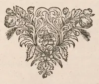 An illustration from De vera antiquorum herba Britannica : ejusdemque efficacia contra stomacaccen, seu scelotyrben, Frisiis et Batavis de scheurbuyck : dissertatio historico-medica (1681)