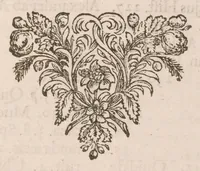 An illustration from De vera antiquorum herba Britannica : ejusdemque efficacia contra stomacaccen, seu scelotyrben, Frisiis et Batavis de scheurbuyck : dissertatio historico-medica (1681)