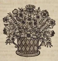 Picture 3 of 27 from Naauwkeurige beschryving der aardgewassen : waar in de veelerley aart en bijzondere eigenschappen der boomen, heesters, kruyden, bloemen, met haare vrugten, zaden, wortelen en bollen, neevens derzelver waare voort-teeling, gelukkige aanwinning, en heylzaame genees-krachten : na een veel-jarige oeffening en eigen ondervinding, in drie onderscheide boeken, naauwkeuriglijk beschreeven worden (1696), leaf 38