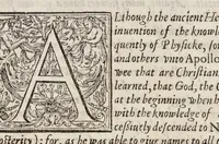An illustration from Paradisi in sole paradisus terrestris, or, A garden of all sorts of pleasant flowers : which our English ayre will permitt to be noursed vp : with a kitchen garden of all manner of herbes, rootes & fruites for meate or sause vsed with vs : and, an orchard of all sorte of fruitbearing trees and shrubbes fit for our land : together with the right orderinge, planting & preseruing of them and their vses & vertues (1629)