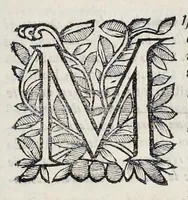 An illustration from Esequie fatte in Padoua al gra[nde] prior di Lombardia f. Agostino Forzadura, sig. di Candiolo &c., li xix aprile M.DC.LXIII (1663)