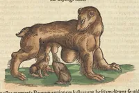 Picture 10 of 13 from Historiæ animalivm ... (1551), leaf 1022