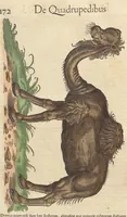 Picture 2 of 13 from Historiæ animalivm ... (1551), leaf 213