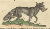 Picture 4 of 13 from Historiæ animalivm ... (1551), leaf 758