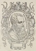 An illustration from Libri de piscibus marinis : in quibus veræ piscium effigies expressæ sunt : quæ in tota piscium historia contineantur, indicat elenchus pagina nona et decima : postremo indices necessarij (1554)