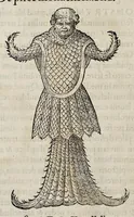 Picture 24 of 43 from Libri de piscibus marinis : in quibus veræ piscium effigies expressæ sunt : quæ in tota piscium historia contineantur, indicat elenchus pagina nona et decima : postremo indices necessarij (1554), leaf 509