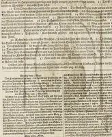 An illustration from Türckischer Estaats- und Krieges- Bericht, oder, Eine kurtze und gründliche Beschreibung des türckischen Käysers, Grosz- und anderer Veziers, Militz, Land und Leuten, Gewonheiten, Krieges- und Lebens-Arth, Gewehr, Kleydung, and was davon ferner zu berichten nötig (1683)