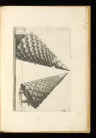 Picture 21 of 24 from Perspectiua corporum regularium : das ist, ein fleyssige Fürweysung, wie die fünff regulirten Cörper, daruon Plato inn Timaeo, vnnd Euclides inn sein Elementis schreibt, &c.; durch einen sonderlichen, newen, behenden vnd gerechten Weg, der vor nie im Gebrauch ist gesehen worden, gar künstlich inn die Perspectiua gebracht : vnd darzu ein schöne Anleytung, wie auss denselbigen fünff Cörpern one Endt, gar viel andere Cörper, mancherley Art vnd Gestalt, gemacht unnd gefunden werden mügen : allen Liebhabern der freyen Kunst zu Ehrn / ǂc durch Wentzeln Jamnitzer, burgern vnd Goldtschmid in Nürmberg, mit Götlicher Hülff an Tag geben &c (1568), leaf 100