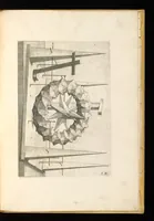 An illustration from Perspectiua corporum regularium : das ist, ein fleyssige Fürweysung, wie die fünff regulirten Cörper, daruon Plato inn Timaeo, vnnd Euclides inn sein Elementis schreibt, &c.; durch einen sonderlichen, newen, behenden vnd gerechten Weg, der vor nie im Gebrauch ist gesehen worden, gar künstlich inn die Perspectiua gebracht : vnd darzu ein schöne Anleytung, wie auss denselbigen fünff Cörpern one Endt, gar viel andere Cörper, mancherley Art vnd Gestalt, gemacht unnd gefunden werden mügen : allen Liebhabern der freyen Kunst zu Ehrn / ǂc durch Wentzeln Jamnitzer, burgern vnd Goldtschmid in Nürmberg, mit Götlicher Hülff an Tag geben &c (1568)
