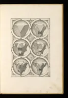 Picture 2 of 24 from Perspectiua corporum regularium : das ist, ein fleyssige Fürweysung, wie die fünff regulirten Cörper, daruon Plato inn Timaeo, vnnd Euclides inn sein Elementis schreibt, &c.; durch einen sonderlichen, newen, behenden vnd gerechten Weg, der vor nie im Gebrauch ist gesehen worden, gar künstlich inn die Perspectiua gebracht : vnd darzu ein schöne Anleytung, wie auss denselbigen fünff Cörpern one Endt, gar viel andere Cörper, mancherley Art vnd Gestalt, gemacht unnd gefunden werden mügen : allen Liebhabern der freyen Kunst zu Ehrn / ǂc durch Wentzeln Jamnitzer, burgern vnd Goldtschmid in Nürmberg, mit Götlicher Hülff an Tag geben &c (1568), leaf 16