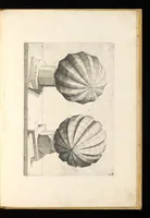 An illustration from Perspectiua corporum regularium : das ist, ein fleyssige Fürweysung, wie die fünff regulirten Cörper, daruon Plato inn Timaeo, vnnd Euclides inn sein Elementis schreibt, &c.; durch einen sonderlichen, newen, behenden vnd gerechten Weg, der vor nie im Gebrauch ist gesehen worden, gar künstlich inn die Perspectiua gebracht : vnd darzu ein schöne Anleytung, wie auss denselbigen fünff Cörpern one Endt, gar viel andere Cörper, mancherley Art vnd Gestalt, gemacht unnd gefunden werden mügen : allen Liebhabern der freyen Kunst zu Ehrn / ǂc durch Wentzeln Jamnitzer, burgern vnd Goldtschmid in Nürmberg, mit Götlicher Hülff an Tag geben &c (1568)