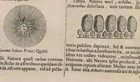 Picture 19 of 29 from Athanasii Kircheri e Soc. Jesu Mundus subterraneus : in XII libros digestus; quo divinum subterrestris mundi opificium, mira ergasteriorum naturae in eo distributio, verbo Pantamorphon [Greek work romanized] Protei regnum, universae denique naturae majestas & divitiae summa rerum varietate exponuntur, abditorum effectuum causae acri indagine inquisitae demonstrantur, cognitae per artis & naturae conjugium ad humanae vitae necessarium usum vario experimentorum apparatu, necnon novo modo & ratione applicantur (1678), leaf 489