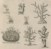An illustration from Athanasii Kircheri e Soc. Jesu Mundus subterraneus : in XII libros digestus; quo divinum subterrestris mundi opificium, mira ergasteriorum naturae in eo distributio, verbo Pantamorphon [Greek work romanized] Protei regnum, universae denique naturae majestas & divitiae summa rerum varietate exponuntur, abditorum effectuum causae acri indagine inquisitae demonstrantur, cognitae per artis & naturae conjugium ad humanae vitae necessarium usum vario experimentorum apparatu, necnon novo modo & ratione applicantur (1678)