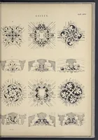 Picture 73 of 79 from Rural architecture : a series of designs, for ornamental cottages and villas, exemplified in plans, elevations, sections, and details, with descriptions (1856), leaf 268