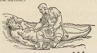 An illustration from The new pearl of great price : a treatise concerning the treasure and most precious stone of the philosophers, or, the method and procedure of this divine art : with observations drawn from the works of Arnoldus, Raymondus, Rhasis, Albertus, and Michael Scotus (1894)