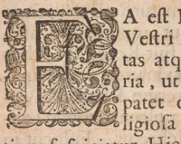 An illustration from Horti academici Lugduno-Batavi catalogus : exhibens plantarum omnium nomina, quibus ab anno MDCLXXXI ad annum MDCLXXXVI hortus fuit instructus ut & plurimarum in eodem cultarum & à nemine hucusque editarum descriptiones & icones (1687)