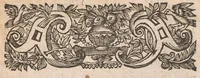 An illustration from Horti academici Lugduno-Batavi catalogus : exhibens plantarum omnium nomina, quibus ab anno MDCLXXXI ad annum MDCLXXXVI hortus fuit instructus ut & plurimarum in eodem cultarum & à nemine hucusque editarum descriptiones & icones (1687)