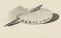An illustration from A manual for china painters, being a practical and comprehensive treatise on the art of painting china and glass with mineral colors (1907)