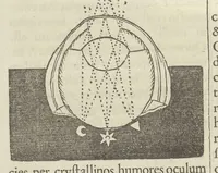 Picture 11 of 39 from Physiologia Kircheriana experimentalis : qua summa argumentorum multitudine & varietate naturalium rerum scientia per experimenta physica, mathematica, medica, chymica, musica, magnetica, mechanica comprobatur atque stabilitur (1680), leaf 105