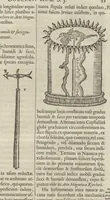 Picture 17 of 21 from Romani Collegii Societatis Jesu Musaeum celeberrimum : cujus magnum antiquariae rei, statuarum, imaginum, picturarumque partem ex legato Alphonsi Donini, S.P.Q.R., a secretis, munificâ liberalitate relictum (1678), leaf 114