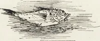An illustration from La vie hors de chez soi (comédie de notre temps) l'hiver, le printemps, l'été, l'automne; études au crayon et à la plume (1876)