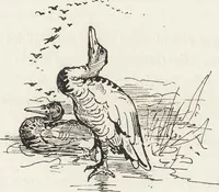 An illustration from La vie hors de chez soi (comédie de notre temps) l'hiver, le printemps, l'été, l'automne; études au crayon et à la plume (1876)