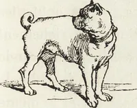 An illustration from La vie hors de chez soi (comédie de notre temps) l'hiver, le printemps, l'été, l'automne; études au crayon et à la plume (1876)